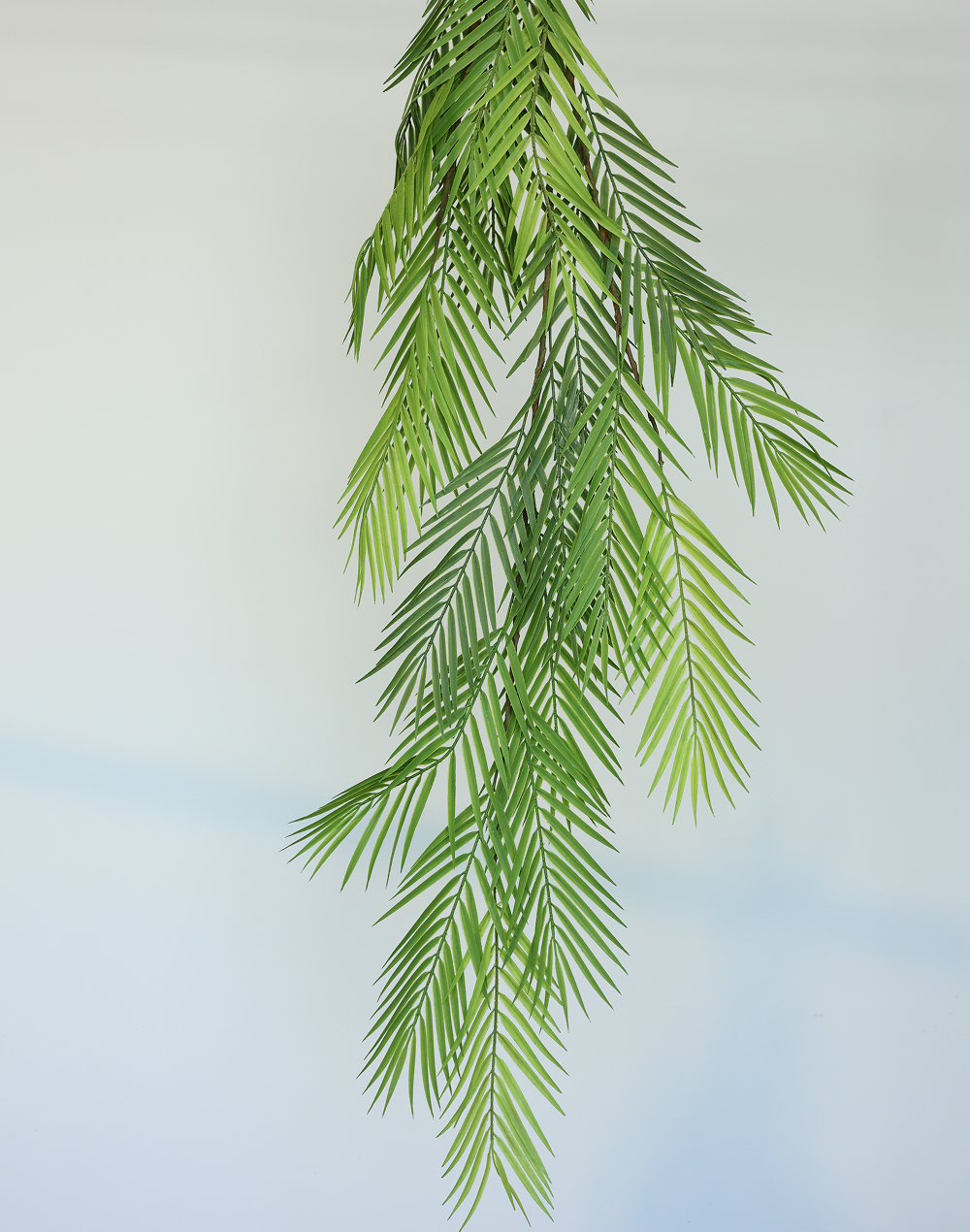 Palm Spray Green
