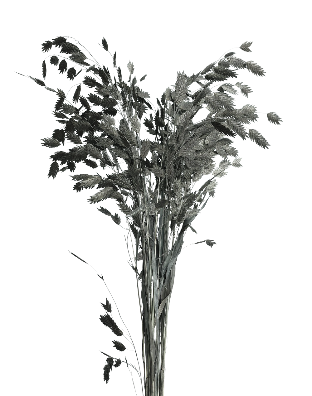 Diamond Grass | Available in 2 Colors
