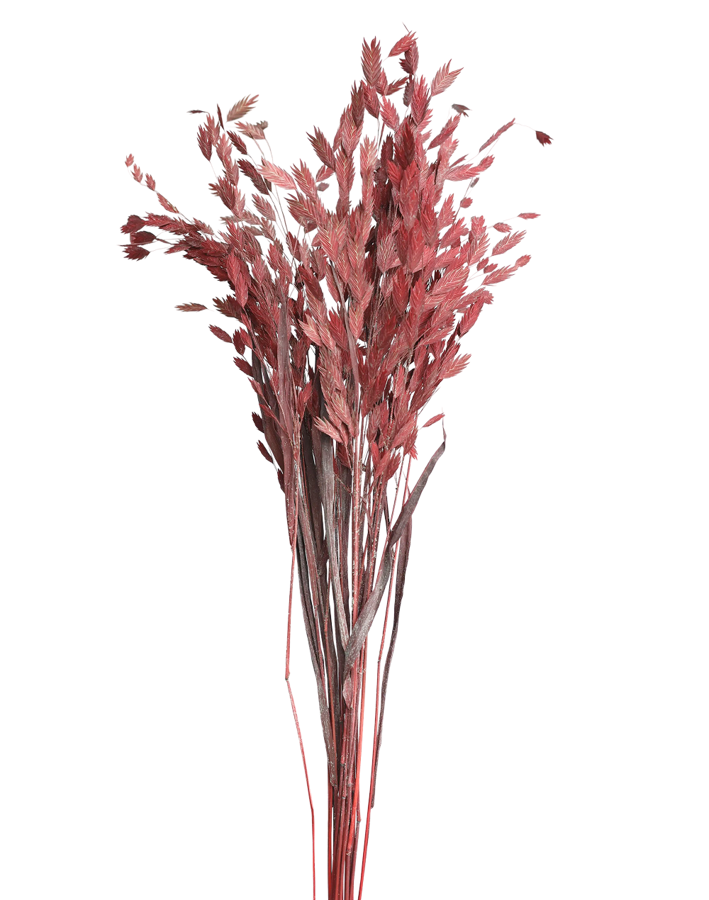 Diamond Grass | Available in 2 Colors