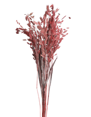 Diamond Grass | Available in 2 Colors