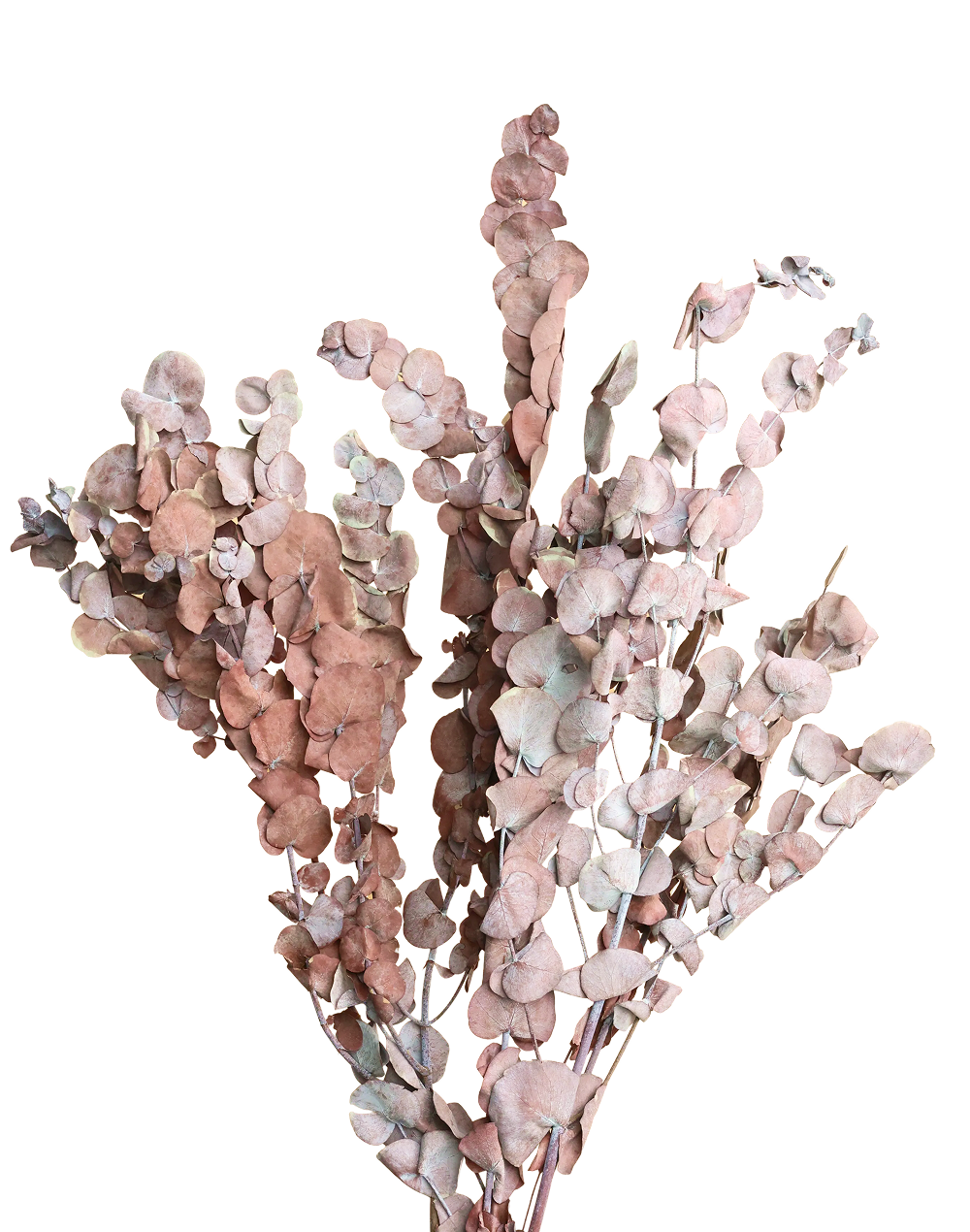 Eucalyptus | Available in 2 Colors
