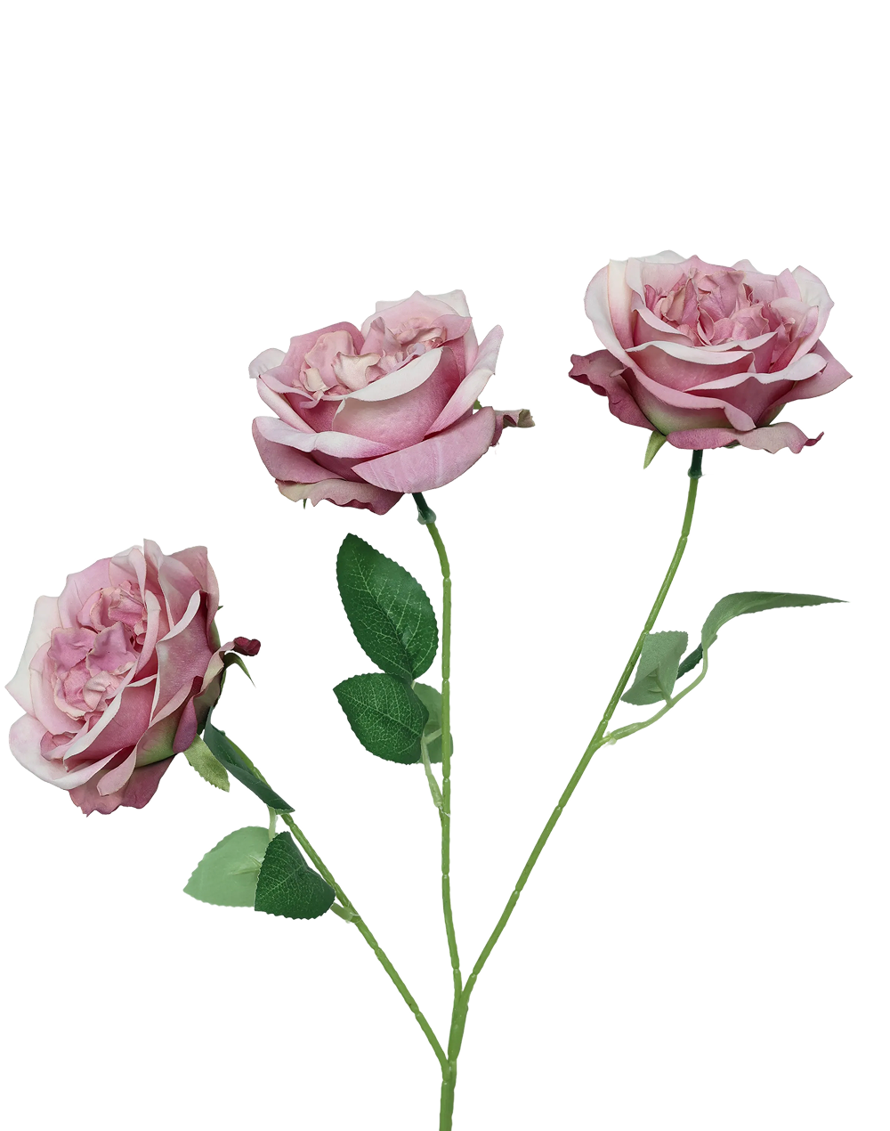 Garden Rose 3-Head Spray | Available in 7 Colors