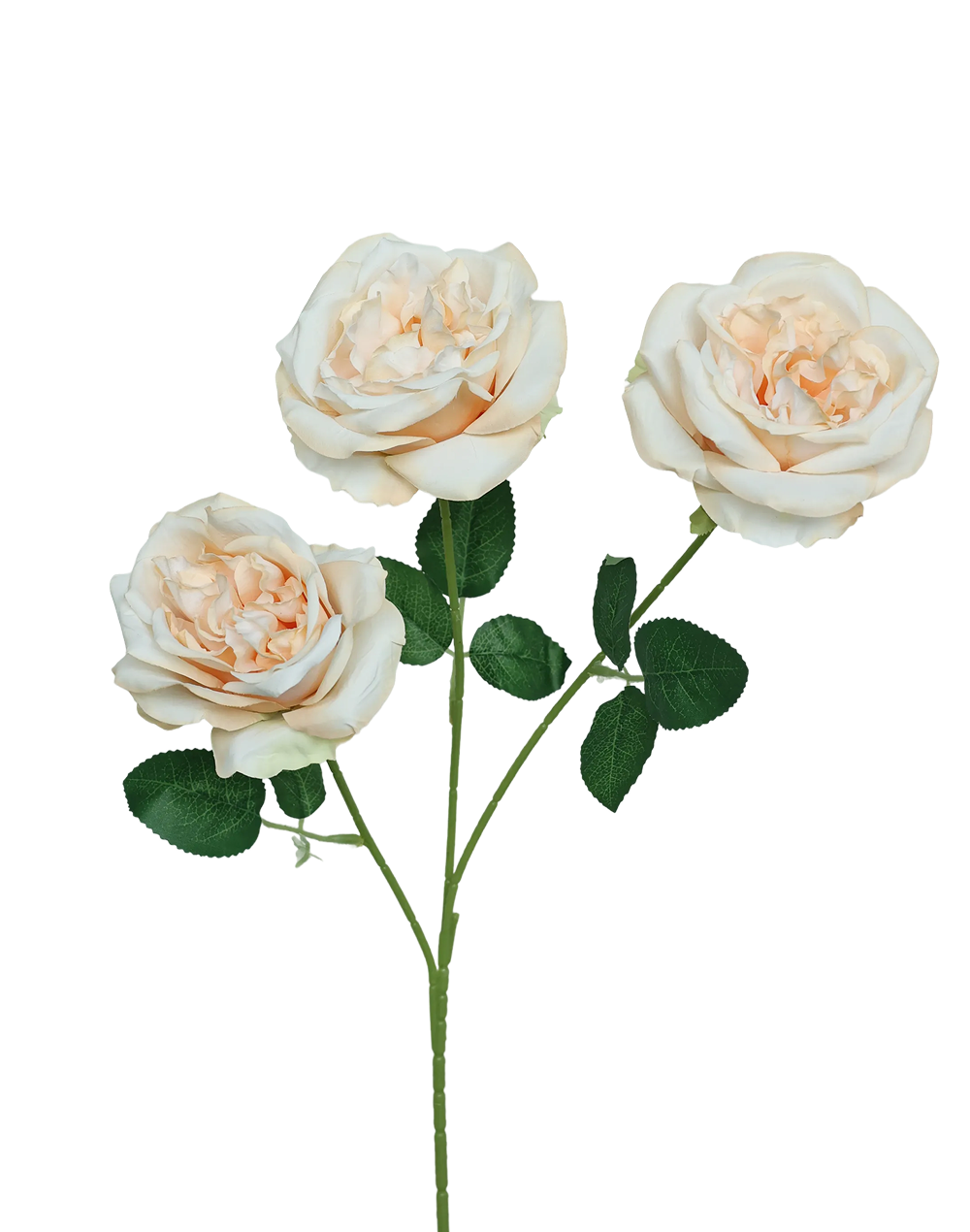 Biege Garden Rose 3-Head Spray