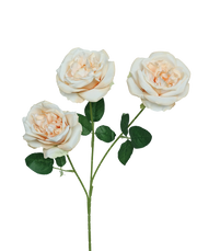 Biege Garden Rose 3-Head Spray
