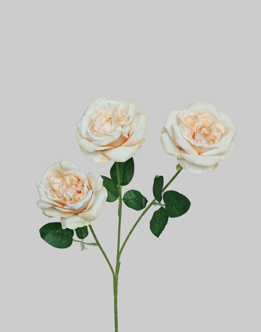 Biege Garden Rose 3-Head Spray