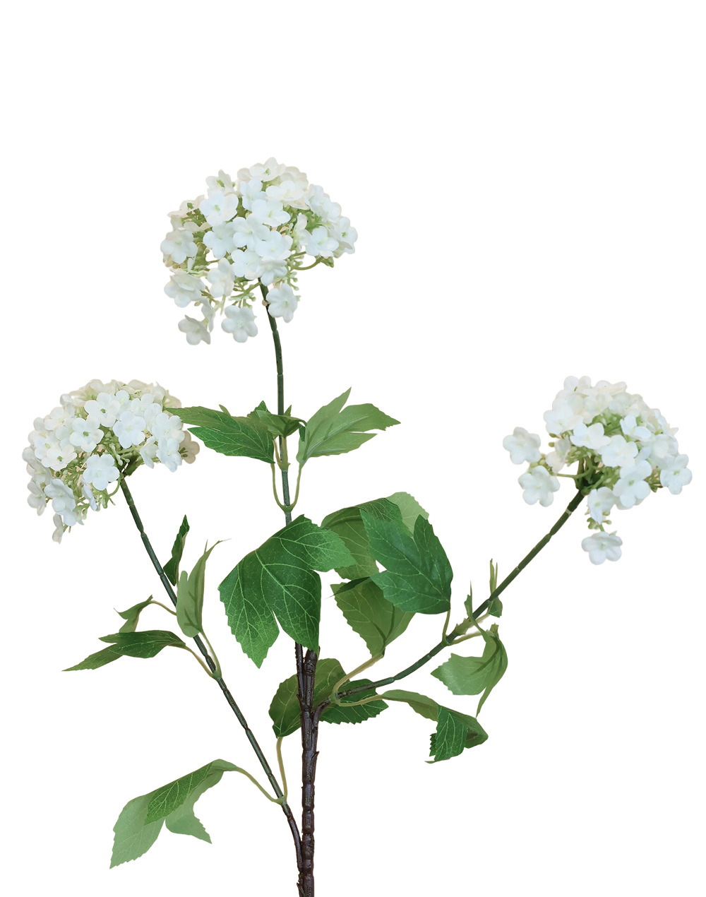 Viburnum Spray | Available in 3 Colors
