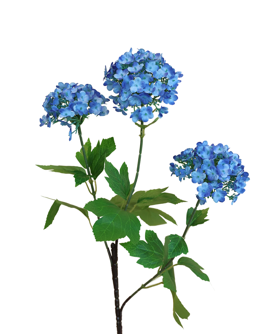 Viburnum Spray | Available in 3 Colors