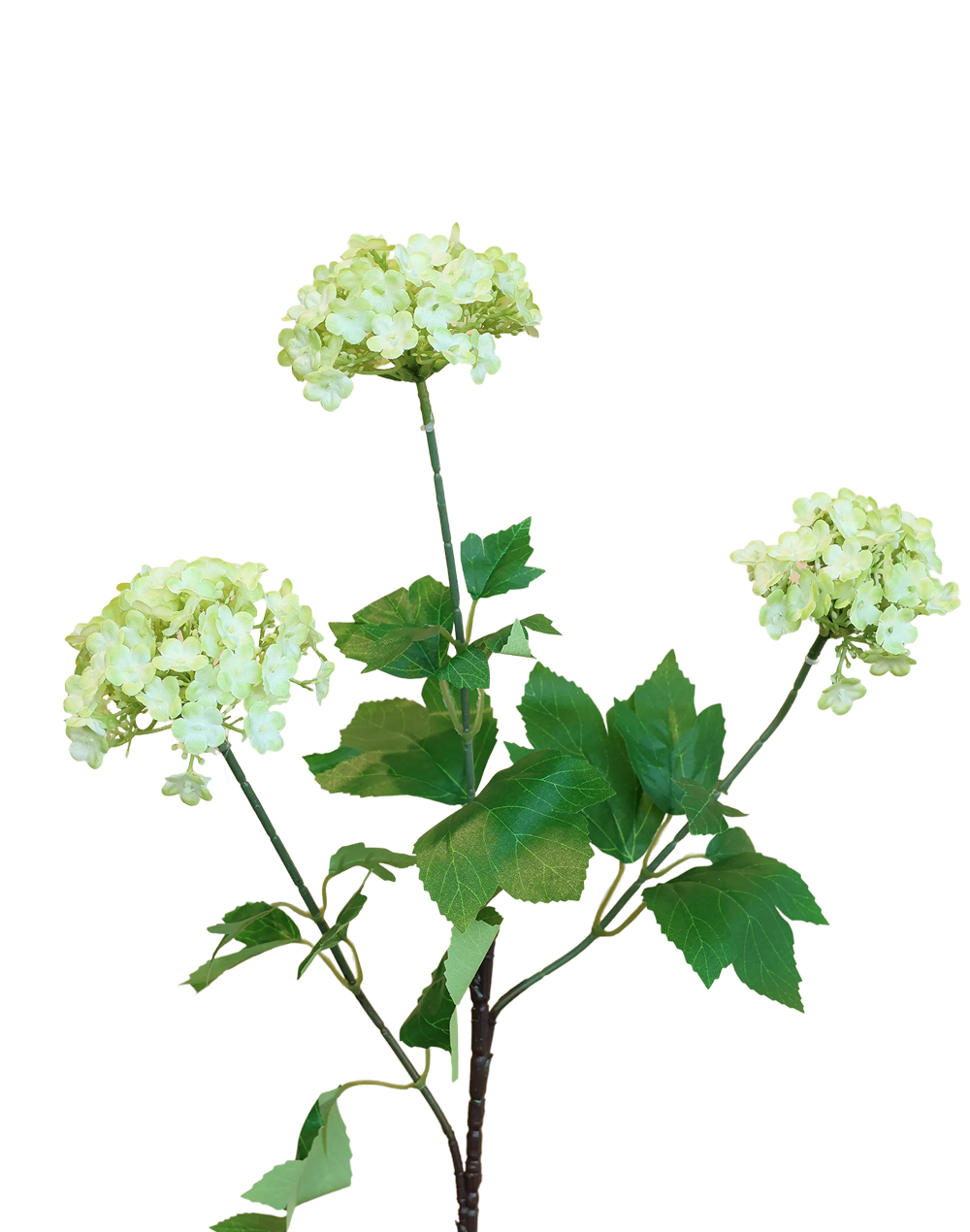Viburnum Spray | Available in 3 Colors
