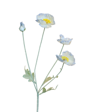 Silk Valley Poppy Spray | Available in 4 Colors