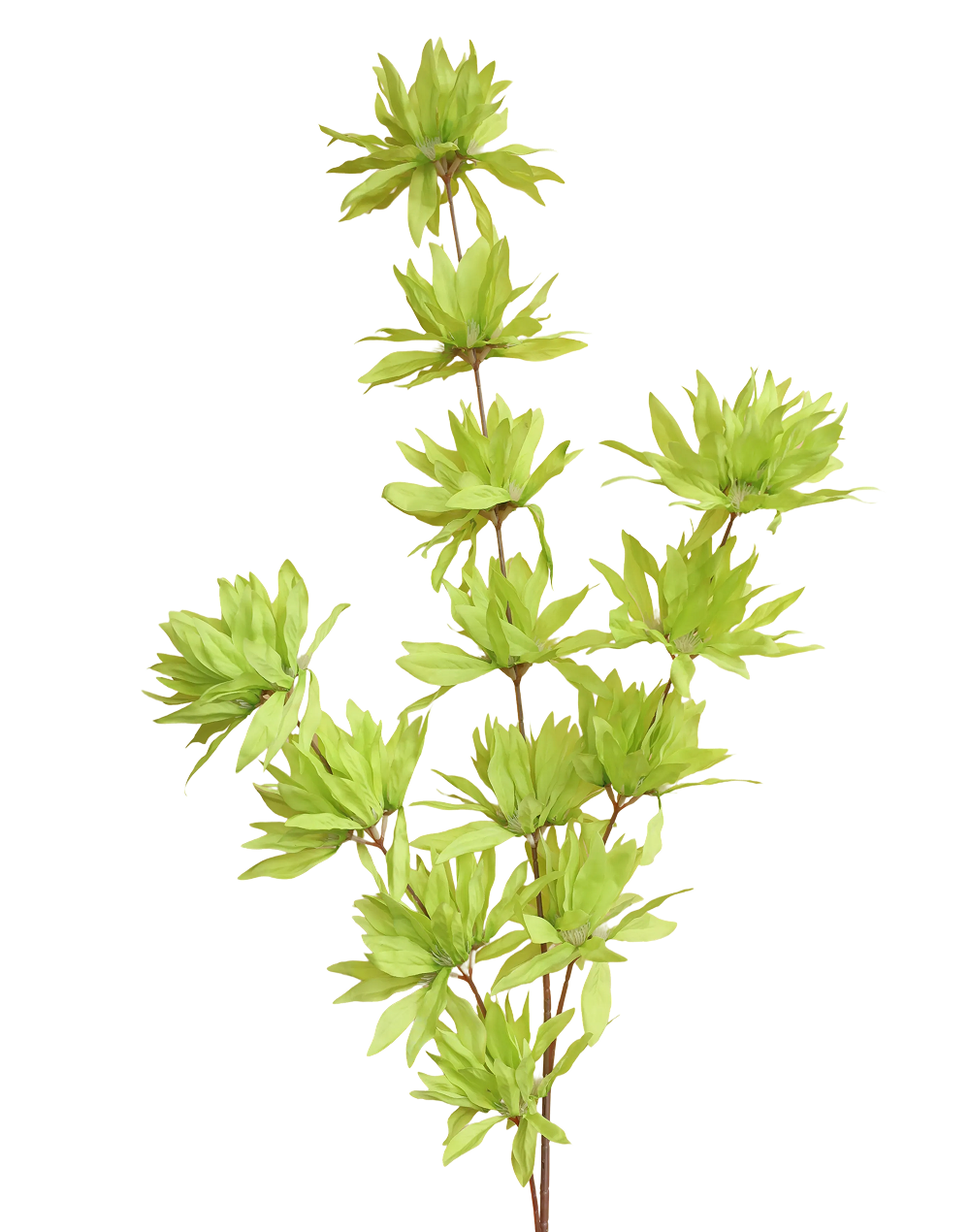 Clematis Spray | Available in 4 Colors