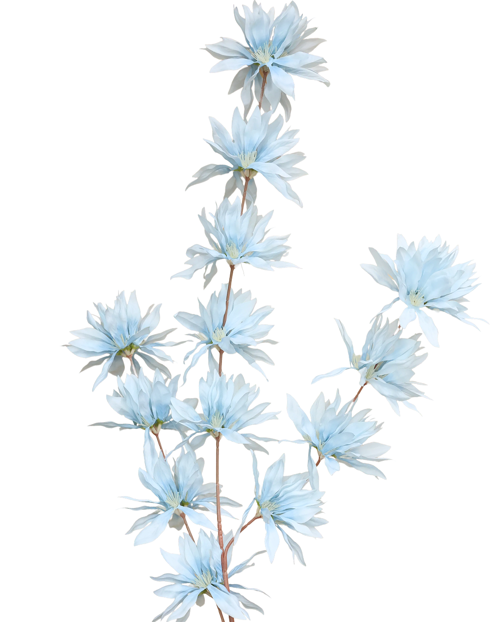 Clematis Spray | Available in 4 Colors