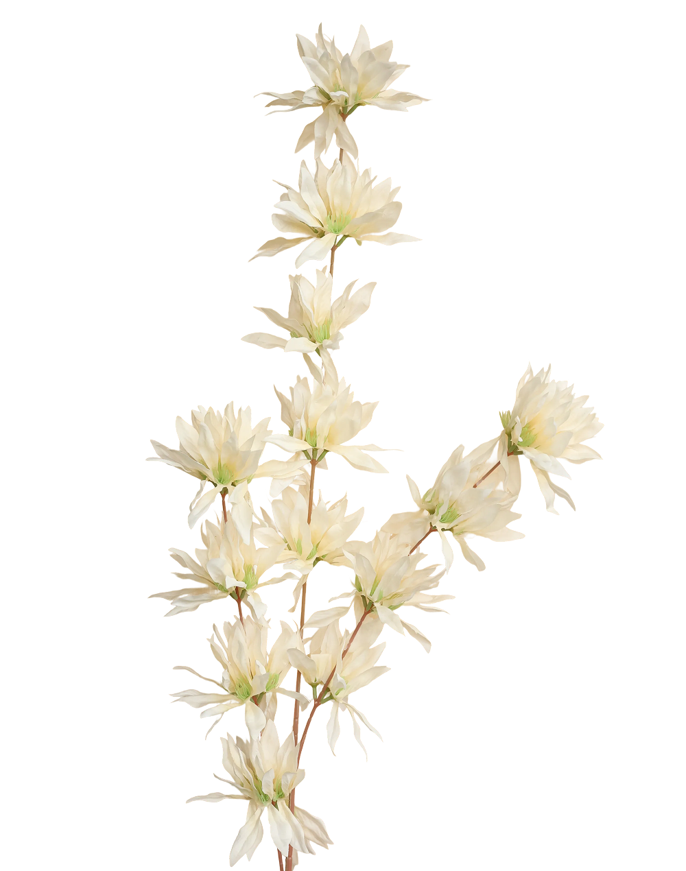 Clematis Spray | Available in 4 Colors