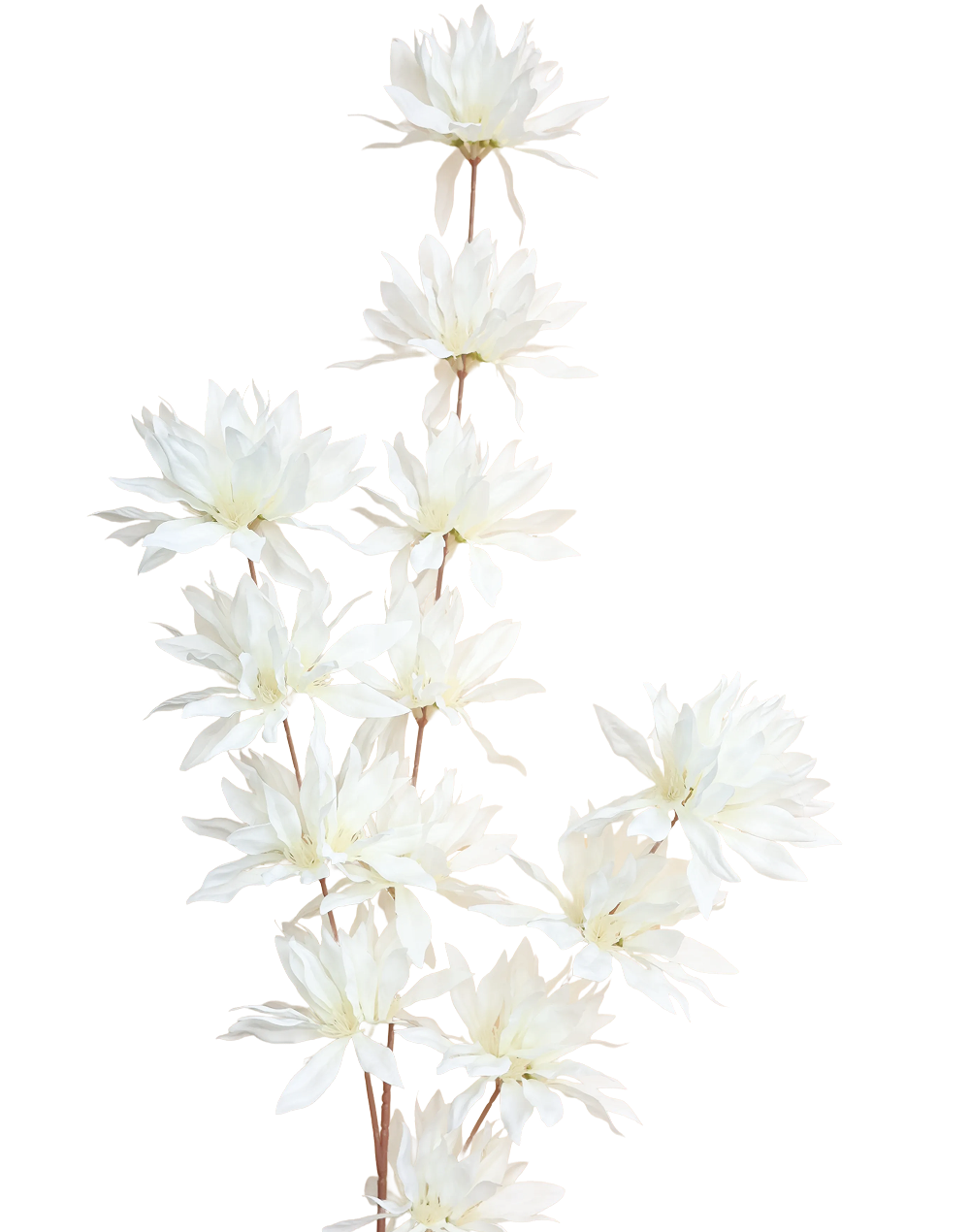 Clematis Spray | Available in 4 Colors