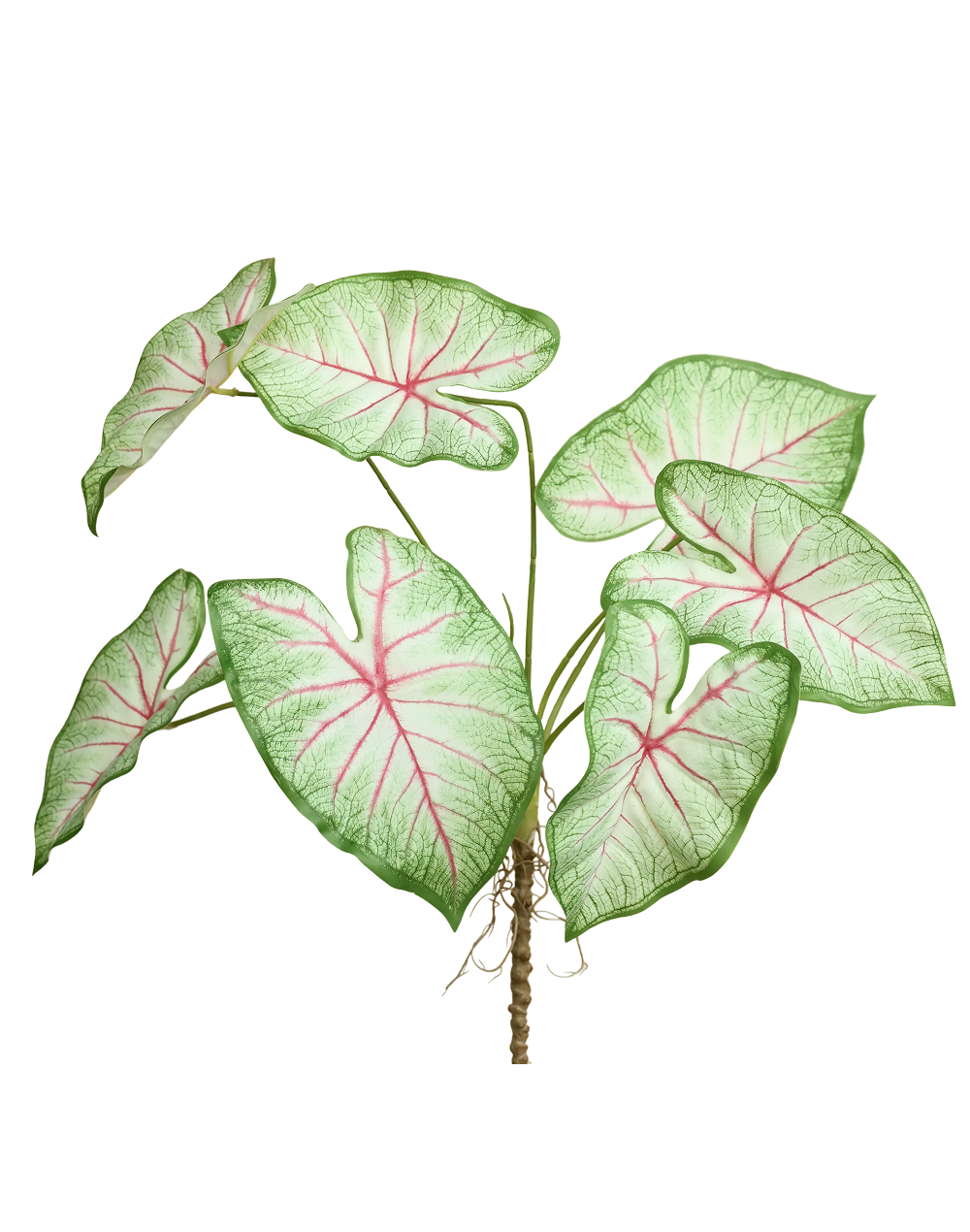 Faux Caladium | Available in 2 Colors
