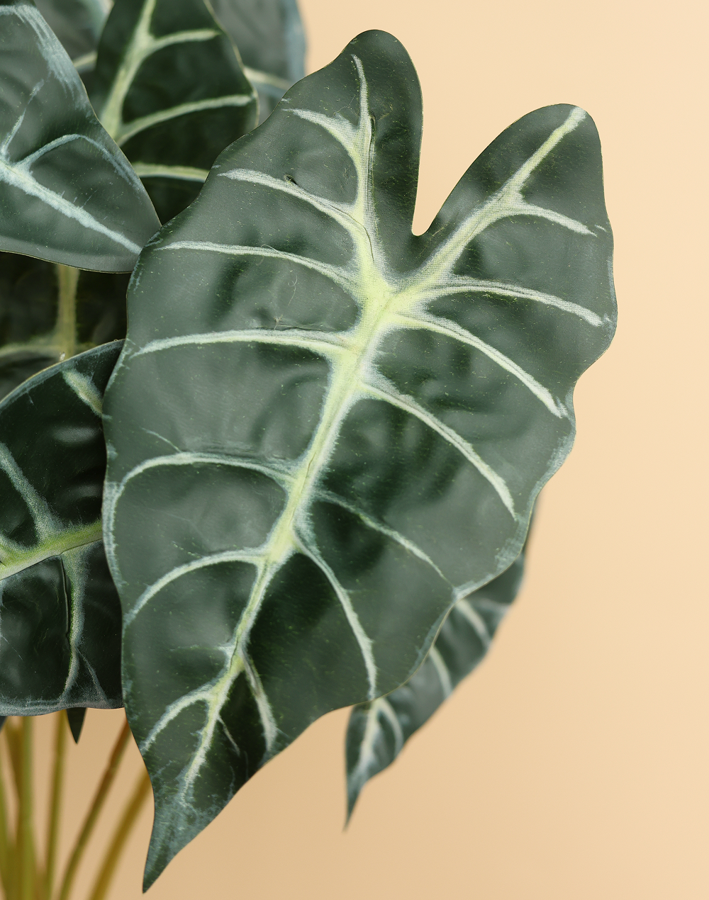 Faux Alocasia "Polly" Multicolor