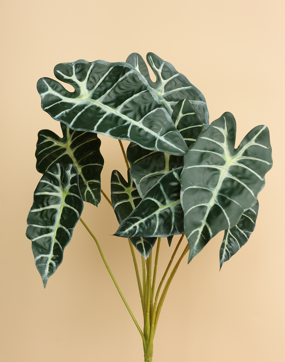 Faux Alocasia "Polly" Multicolor