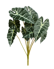 Faux Alocasia "Polly" Multicolor