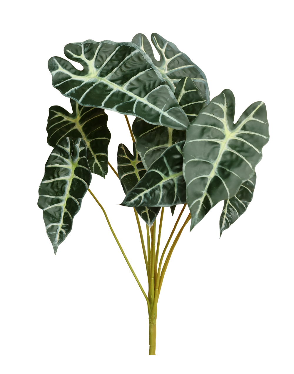 Faux Alocasia "Polly" Multicolor