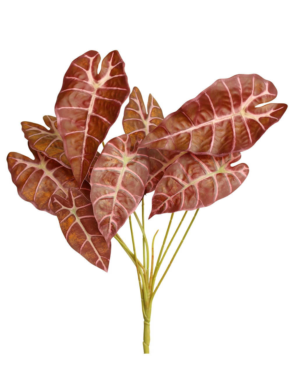 Faux Alocasia "Pink Dragon"