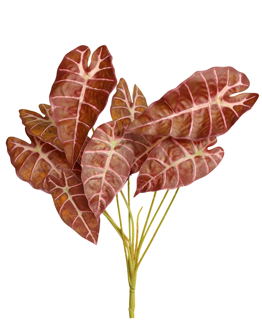 Faux Alocasia "Pink Dragon"