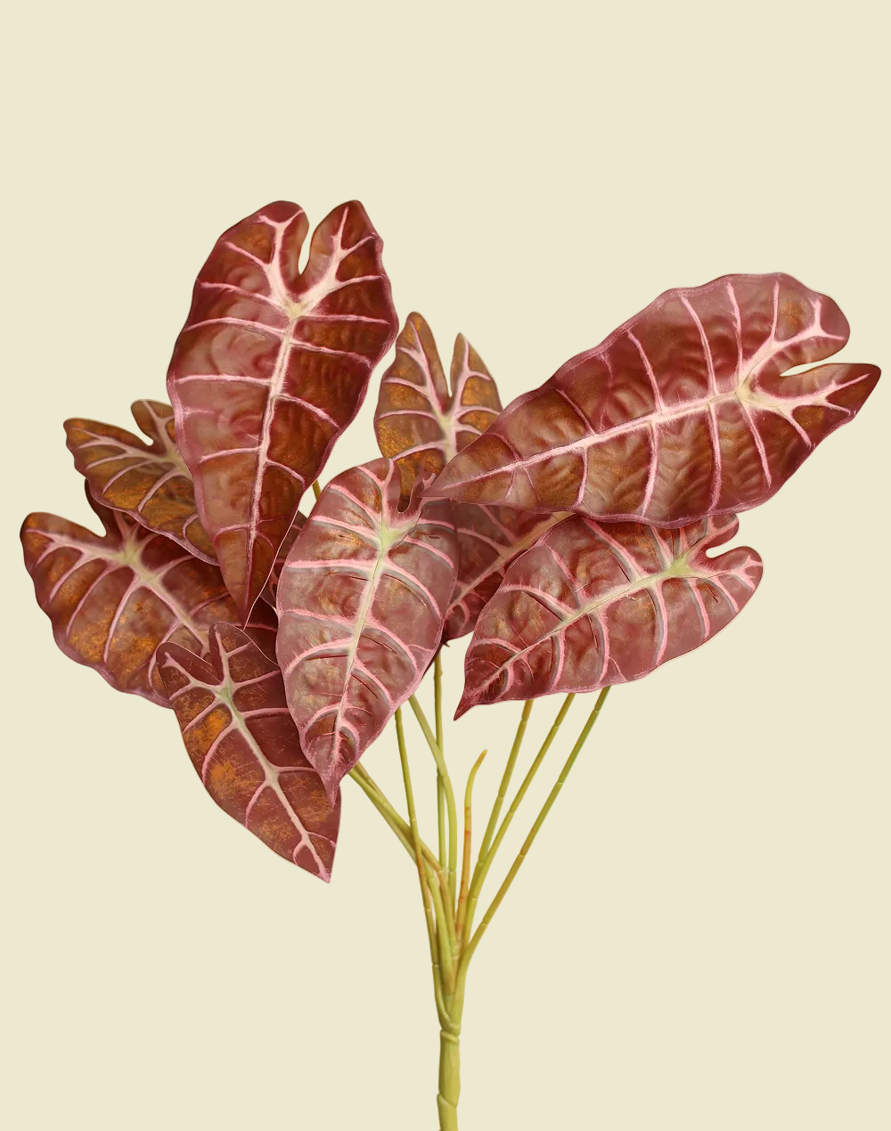 Faux Alocasia "Pink Dragon"