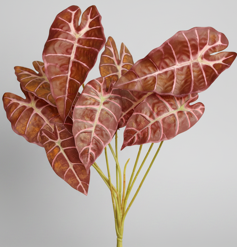 Faux Alocasia "Pink Dragon"