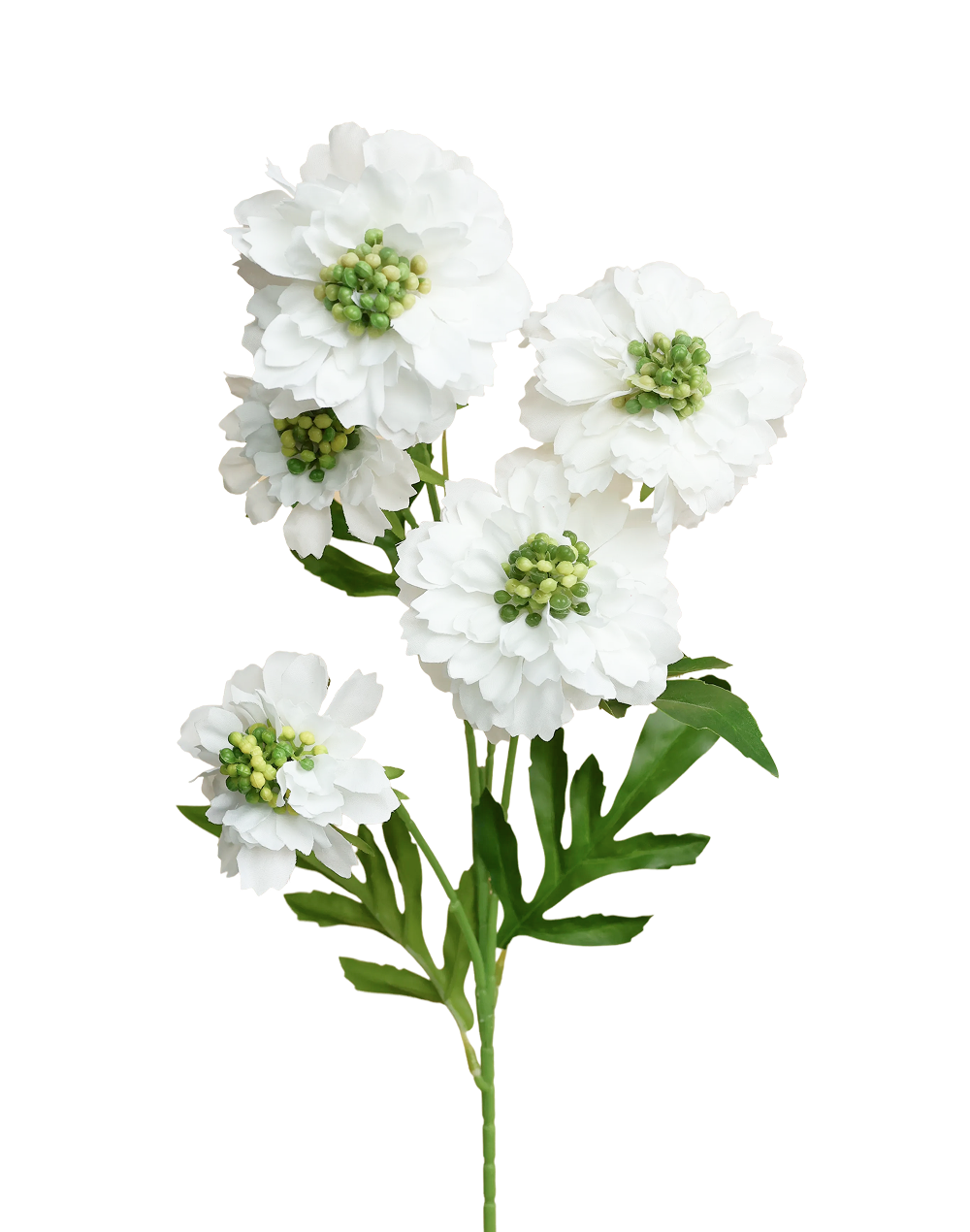 Silk Scabiosa Spray | Available in 5 Colors