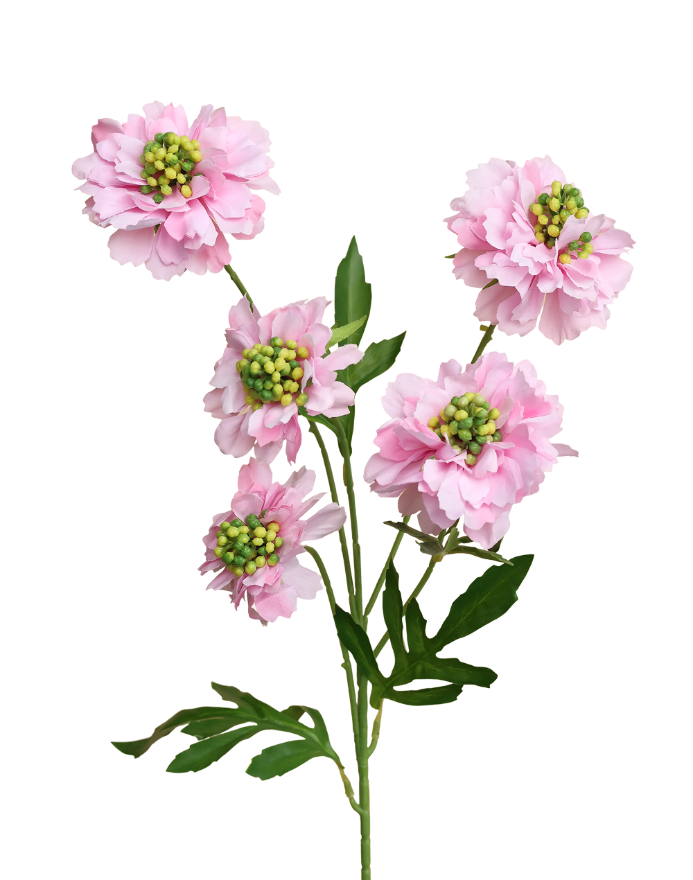 Silk Scabiosa Spray | Available in 5 Colors
