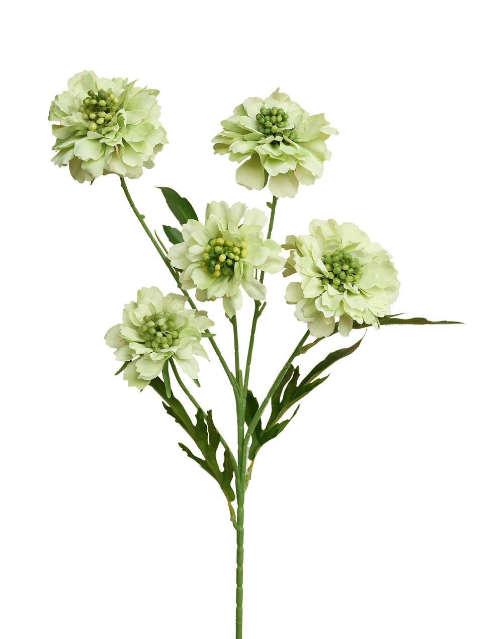 Silk Scabiosa Spray | Available in 5 Colors
