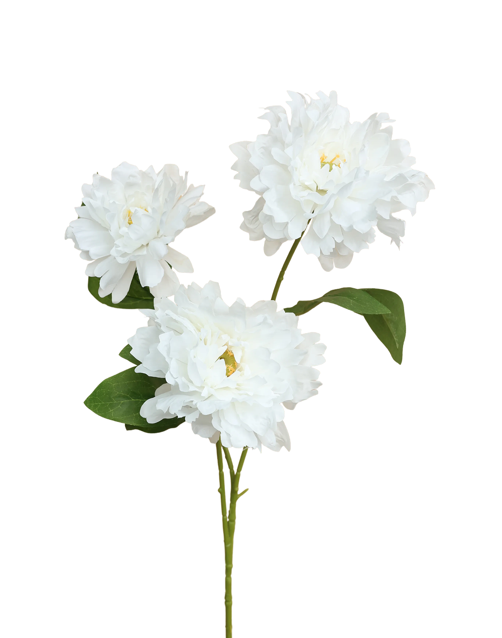 Silk Chrysanthemums | Available in 3 Colors