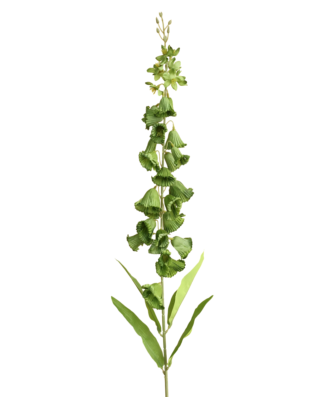 Silk Campanula | Available in 5 Colors