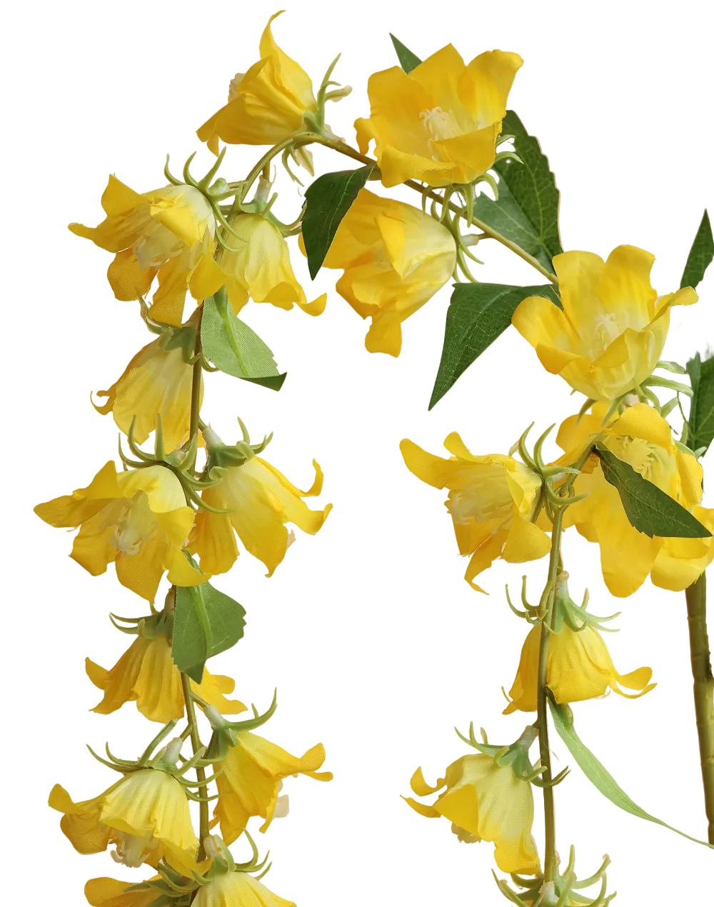 Yellow Cascading Campanula