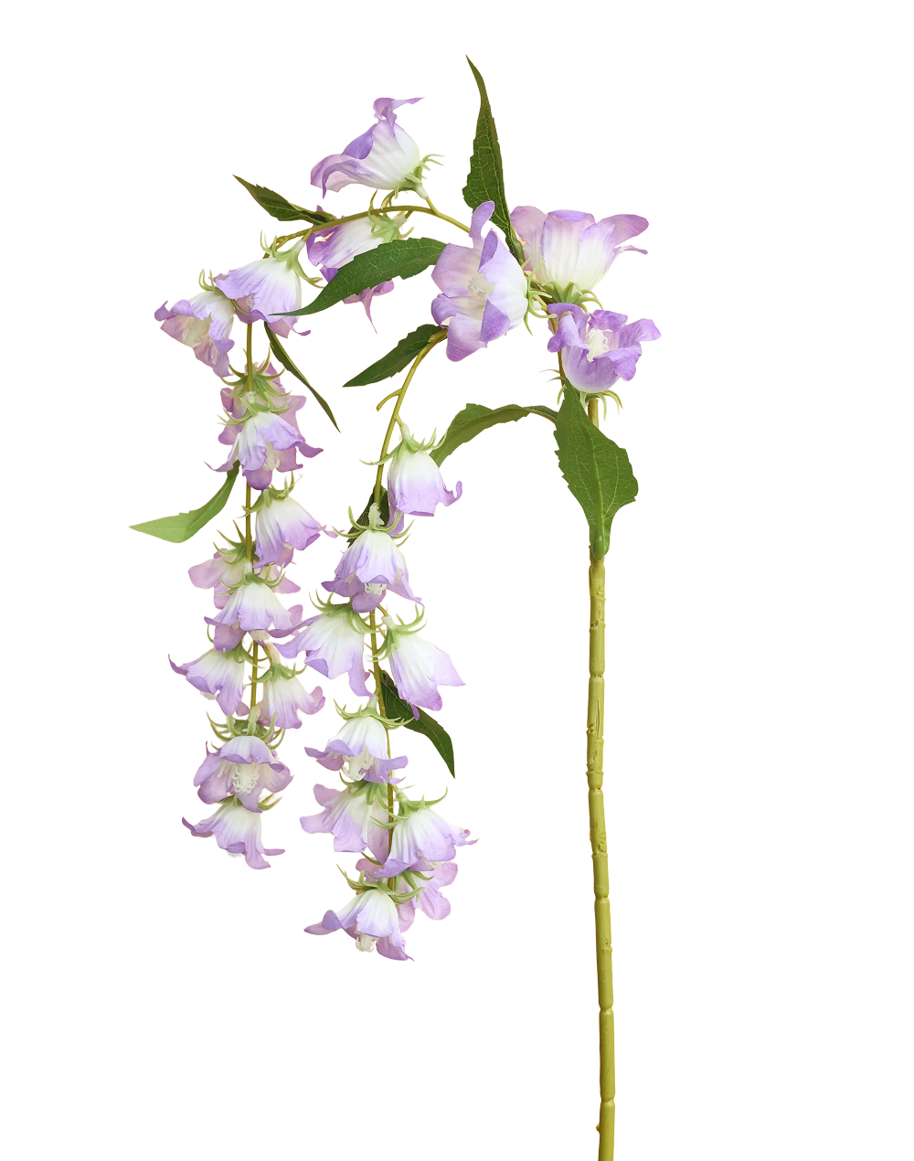Cascading Campanula | Available in 2 Colors