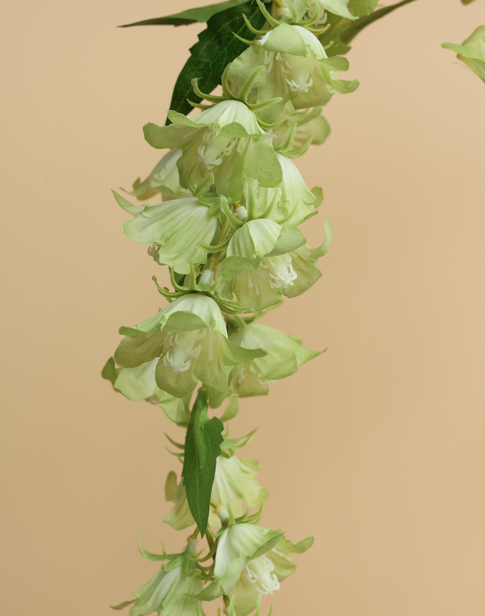 Lime Cascading Campanula