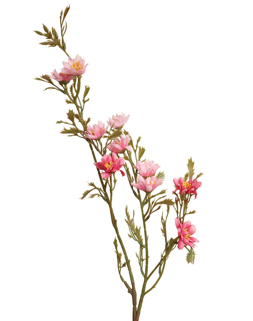 Wild Flowering Branch | Available in 3 Colors