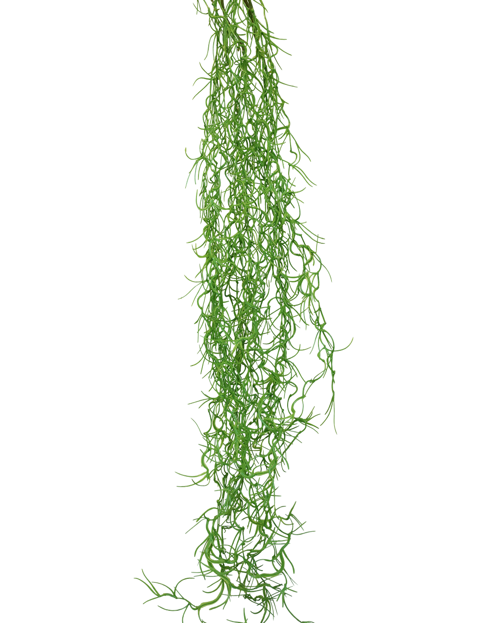 Hanging Reindeer Moss | Available in 3 Colors