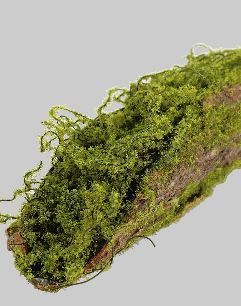 Moss Bark Logs | Available in 3 Sizes