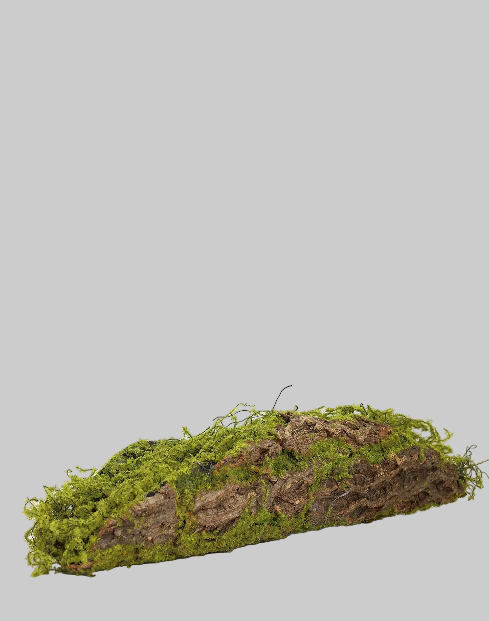 Moss Bark Logs | Available in 3 Sizes