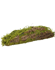 Moss Bark Logs | Available in 3 Sizes