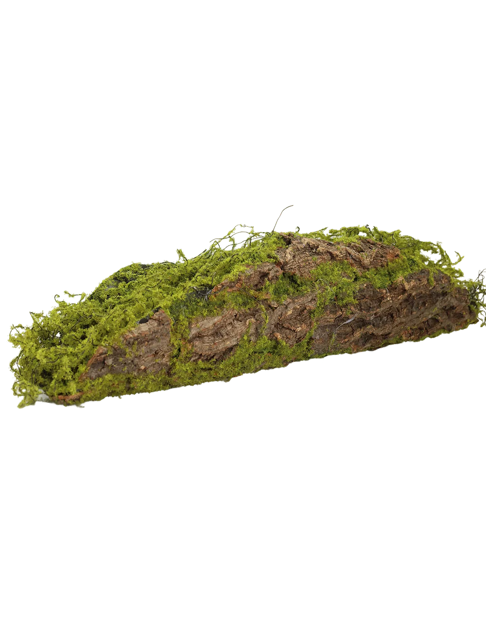 Moss Bark Logs | Available in 3 Sizes