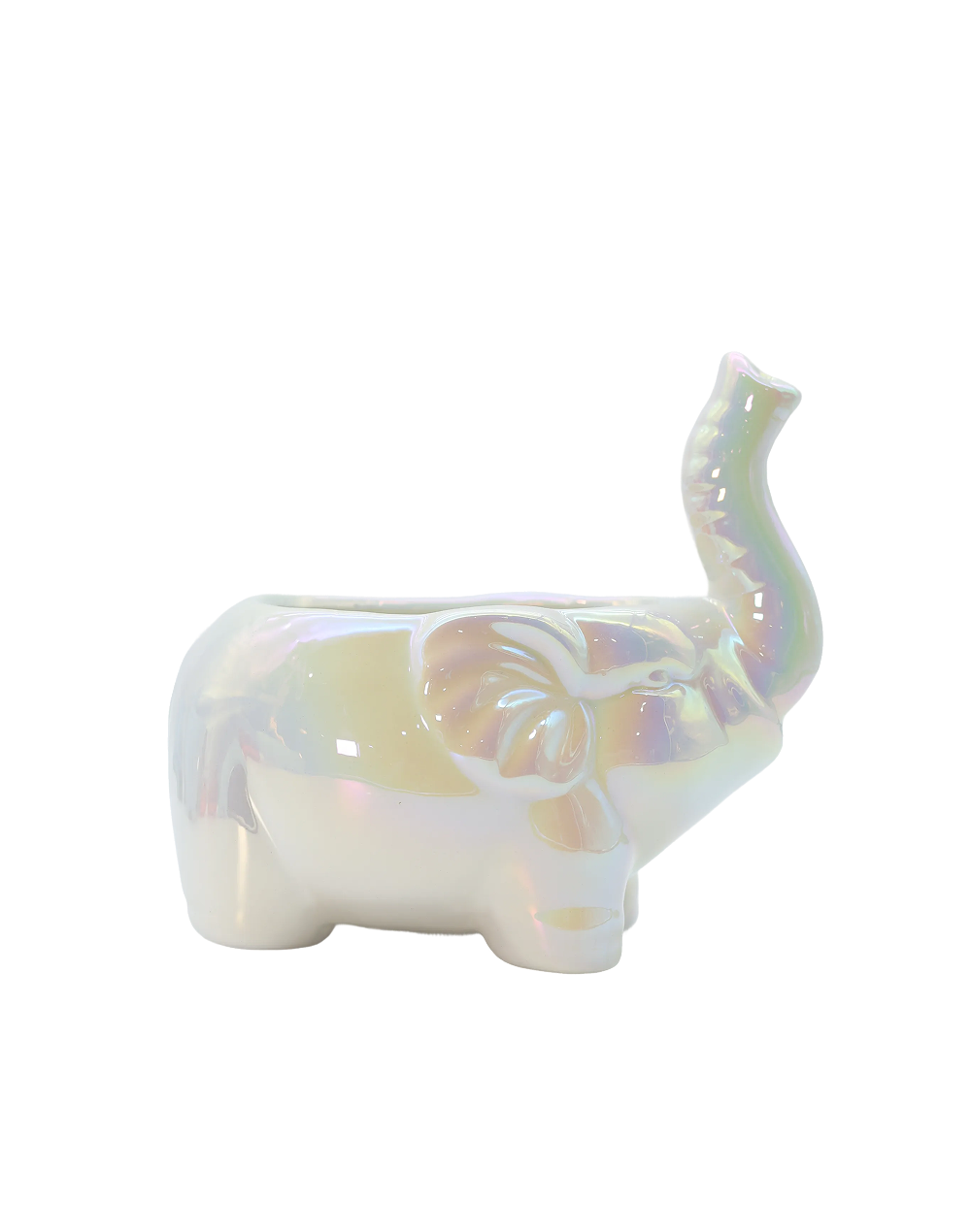 Elephant Pod Vase – Available in 2 Colors