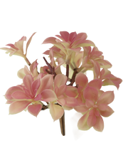 Dusty Mauve Succulent