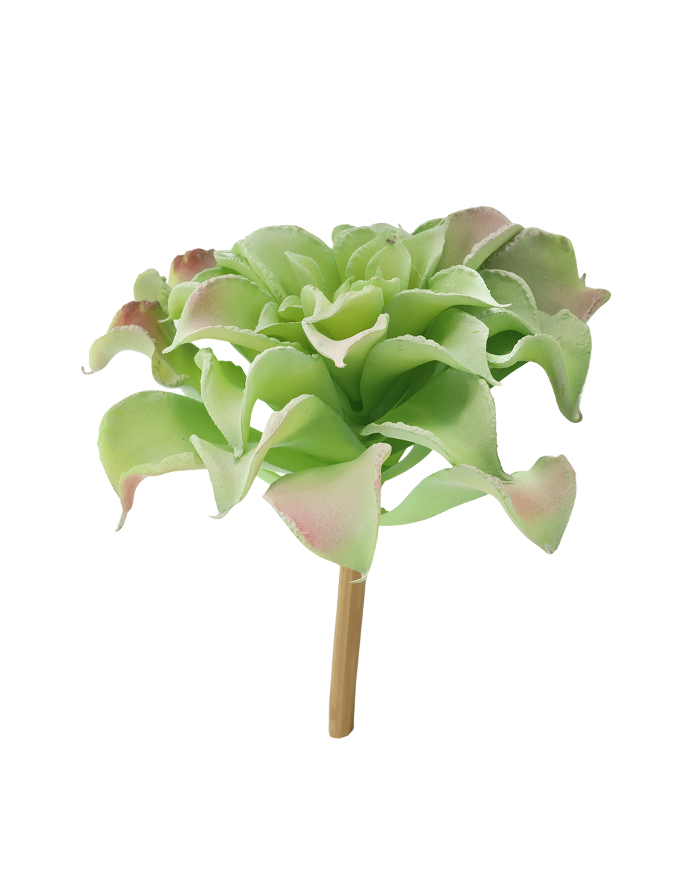 Wavy Rosettes | Available in 2 Colors