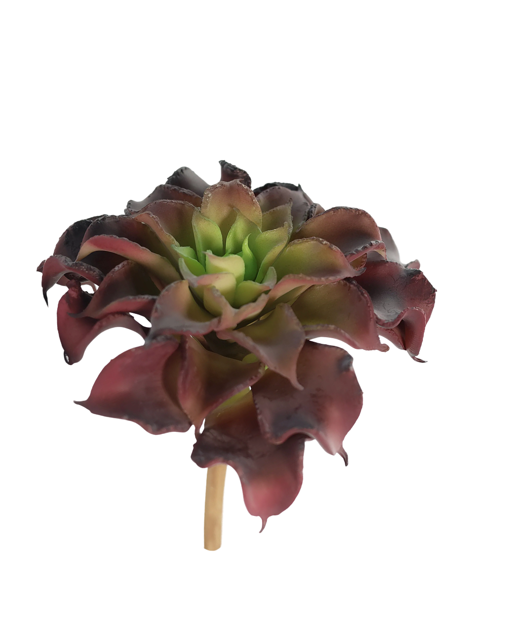 Wavy Rosettes | Available in 2 Colors