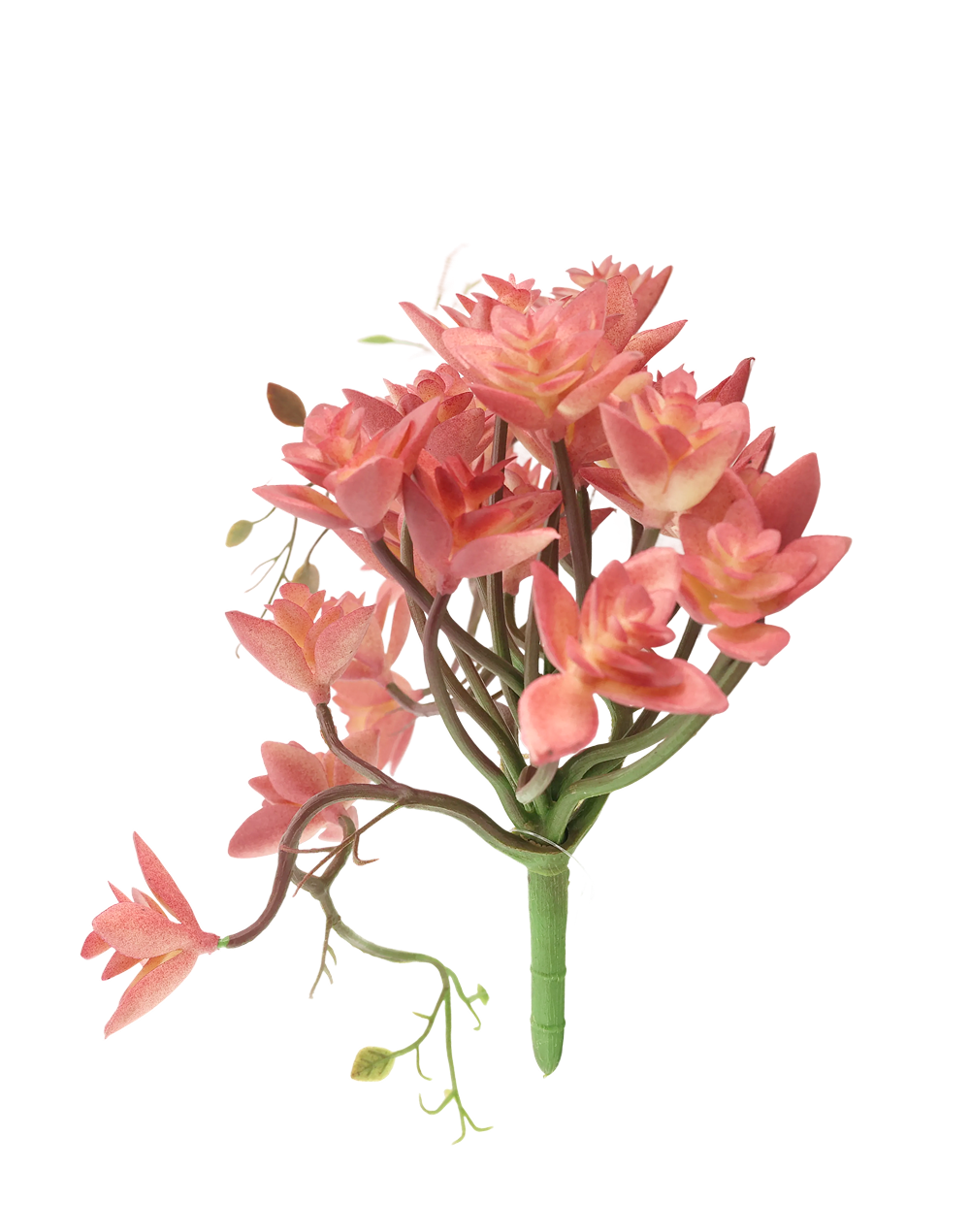 Pink Trailing "Star"