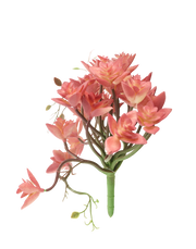 Pink Trailing "Star"