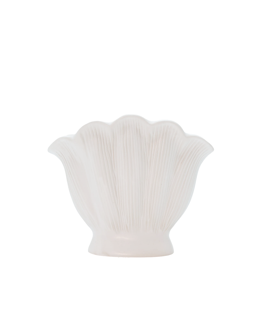 White Shell Vase - Small