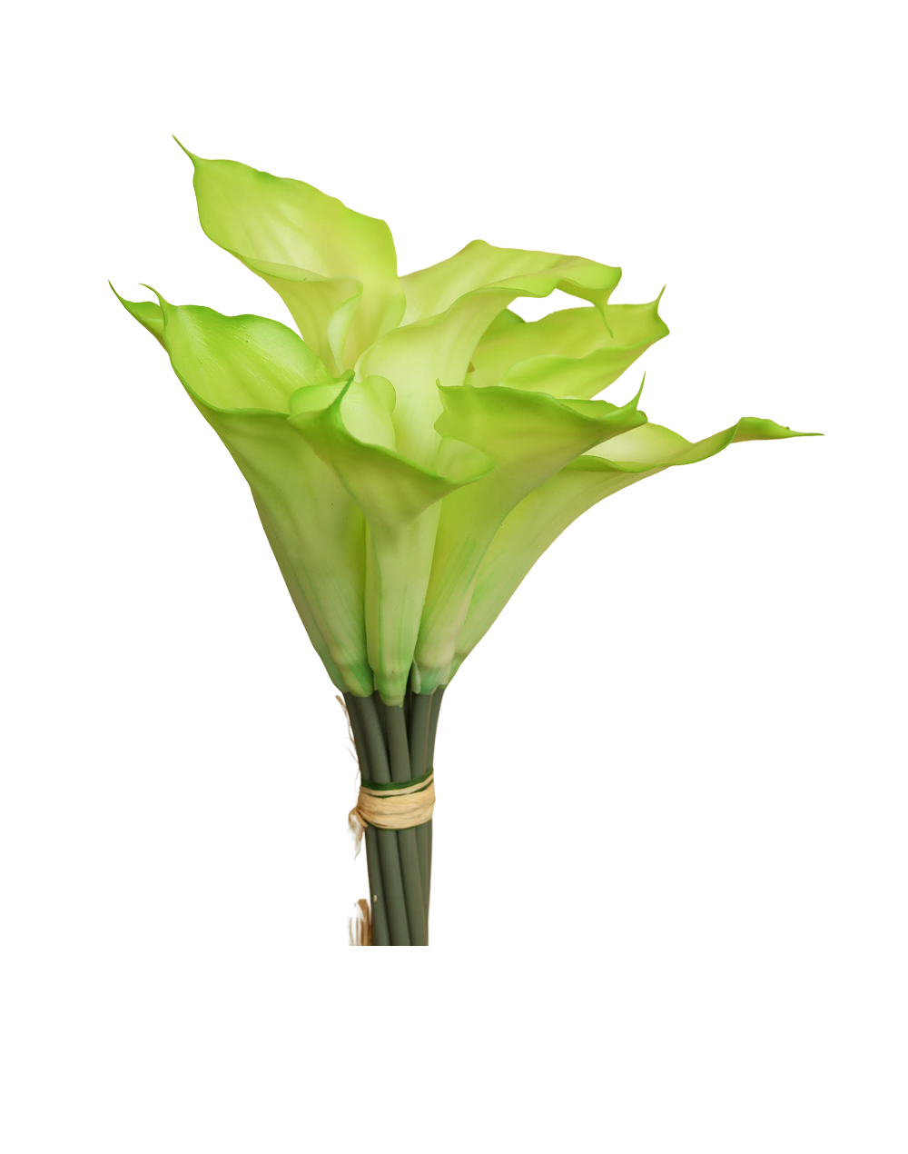 Mini Calla Bunch Of 10 | Available in 4 Colors
