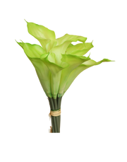 Mini Calla Bunch Of 10 | Available in 4 Colors