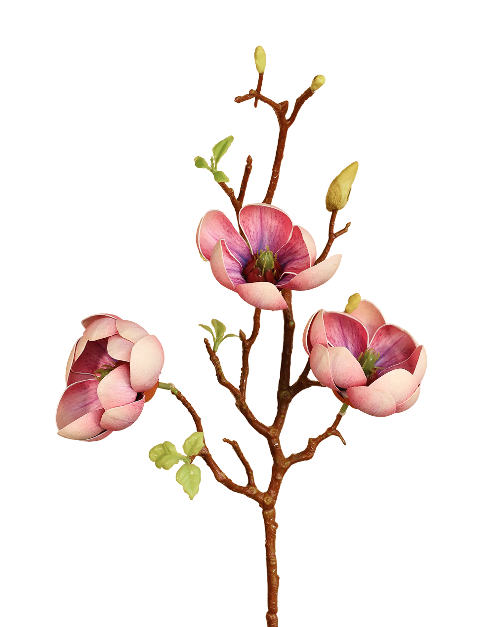 Short 3D Fig Magnolia Branch Spray Multicolor